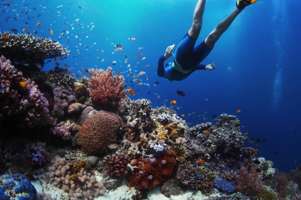 Private Snorkeling