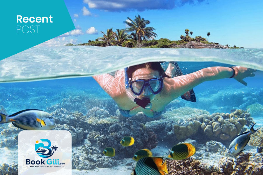 Snorkeling-Trip-Gili-Trawangan
